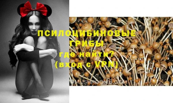 первитин Алексеевка