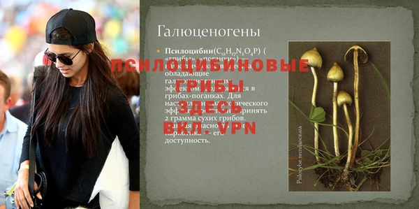 первитин Алексеевка