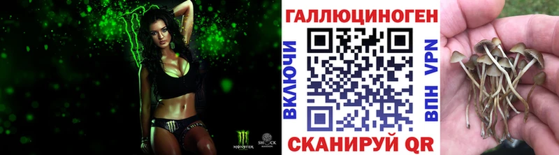 Галлюциногенные грибы GOLDEN TEACHER  Сосенский 
